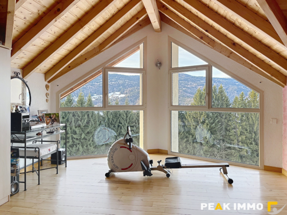 EN EXCLUSIVITE VALLEE VERTE SECTEUR BOEGE MAISON D'EXCEPTION