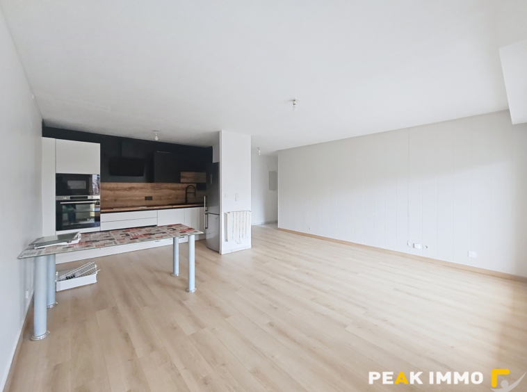 Annemasse T3 centre ville mais au calme