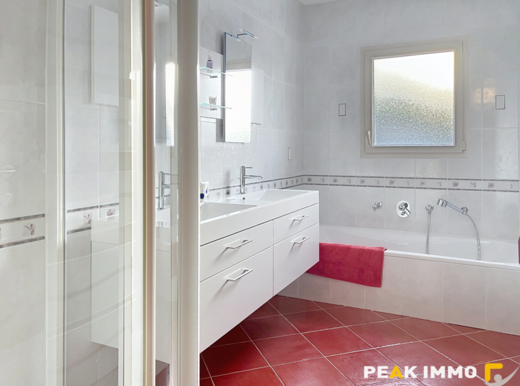 EN EXCLUSIVITE VALLEE VERTE SECTEUR BOEGE MAISON D'EXCEPTION