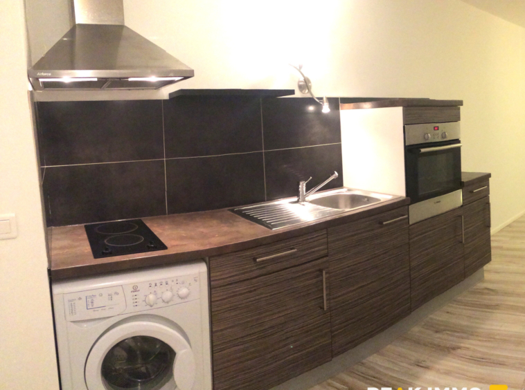 Studio 28,93 m2   Balcon sud   Vendu loué   Vue montagnes