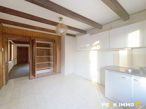 Maison mitoyenne de 46.06m2 avec jardin à rénover   Peillonn