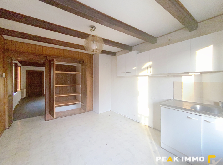 Maison mitoyenne de 46.06m2 avec jardin à rénover   Peillonn