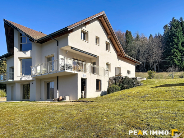 EN EXCLUSIVITE VALLEE VERTE SECTEUR BOEGE MAISON D'EXCEPTION