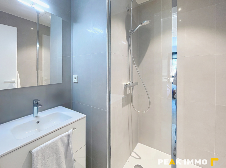 GAILLARD   Spacieux T4 avec suite parentale, cave et garage