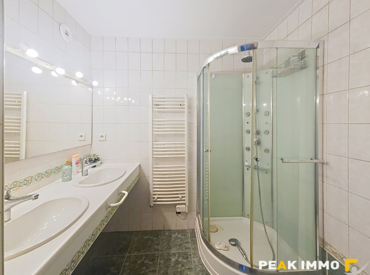 Annemasse T3 centre ville mais au calme