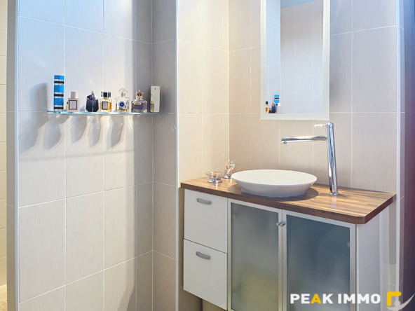 EN EXCLUSIVITE VALLEE VERTE SECTEUR BOEGE MAISON D'EXCEPTION