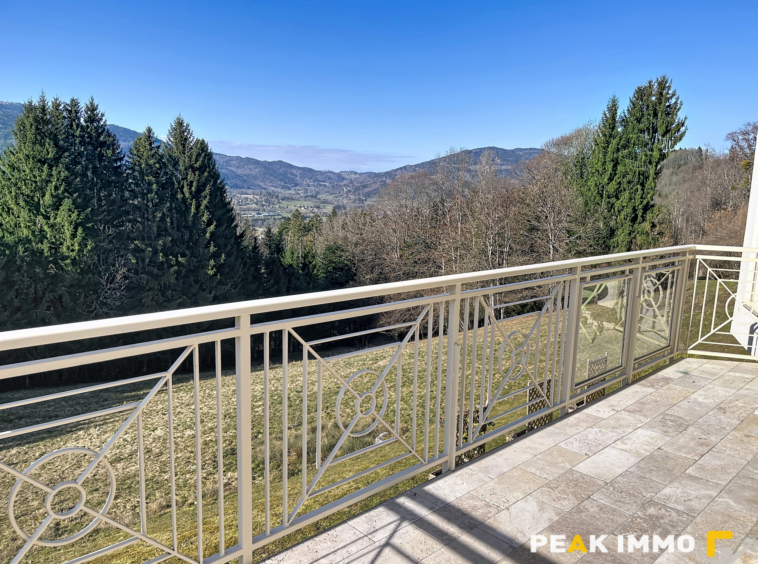 EN EXCLUSIVITE VALLEE VERTE SECTEUR BOEGE MAISON D'EXCEPTION