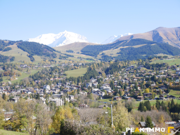 Appartement F2 - 71.76 m2 utiles - Megève