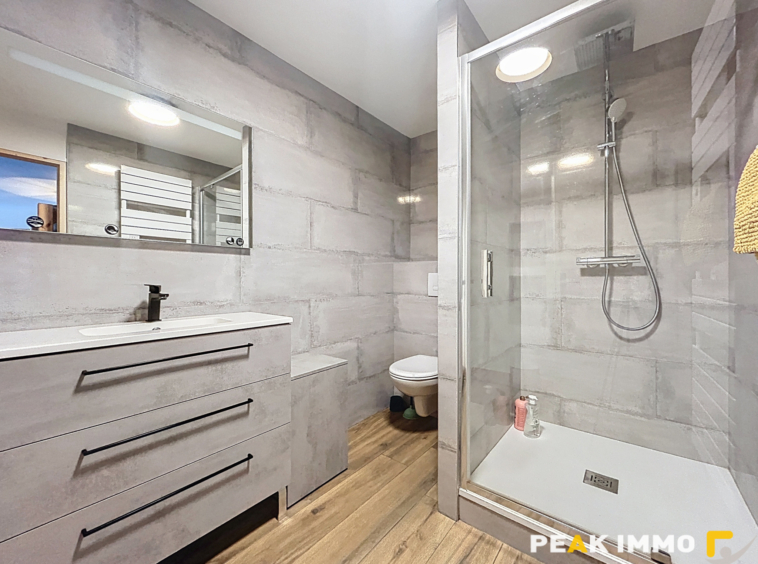 Appartement T5 de Prestige CHAMONIX CENTRE