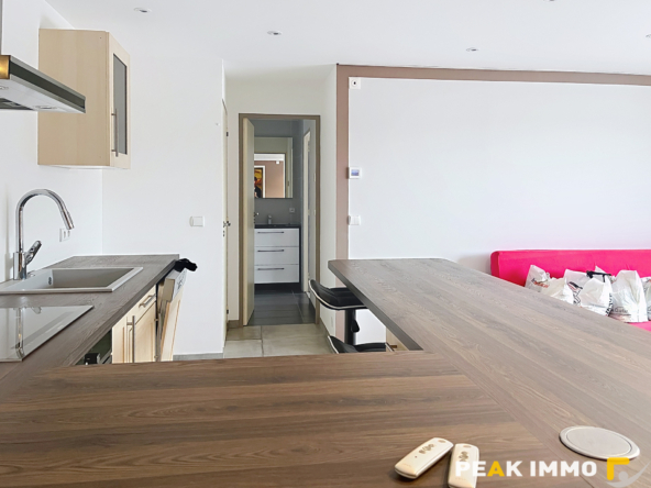 EN EXCLUSIVITE VALLEE VERTE SECTEUR BOEGE MAISON D'EXCEPTION