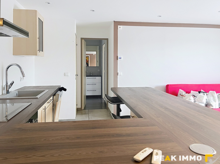 EN EXCLUSIVITE VALLEE VERTE SECTEUR BOEGE MAISON D'EXCEPTION