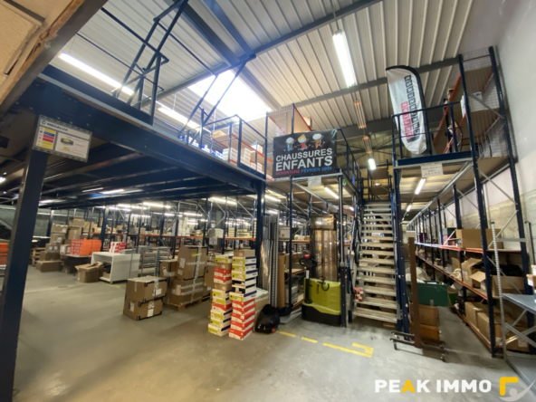 SALLANCHES Zone industrielle et commerciale