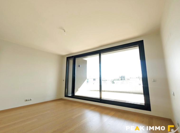 Appartement T6 - 208 m2 - SAINT-GENIS-POUILLY
