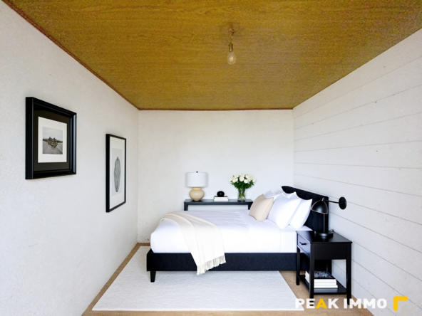 Maison mitoyenne de 46.06m2 avec jardin à rénover   Peillonn