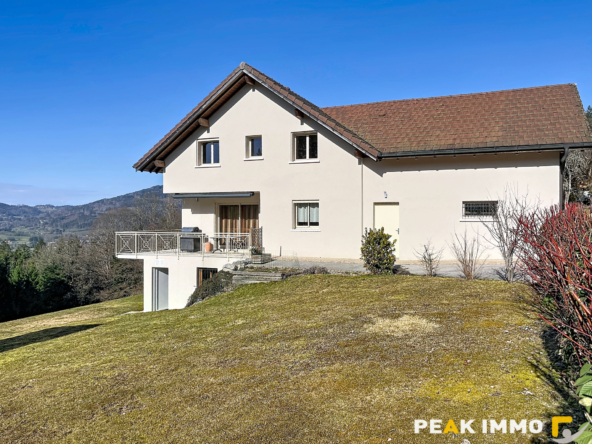 EN EXCLUSIVITE VALLEE VERTE SECTEUR BOEGE MAISON D'EXCEPTION