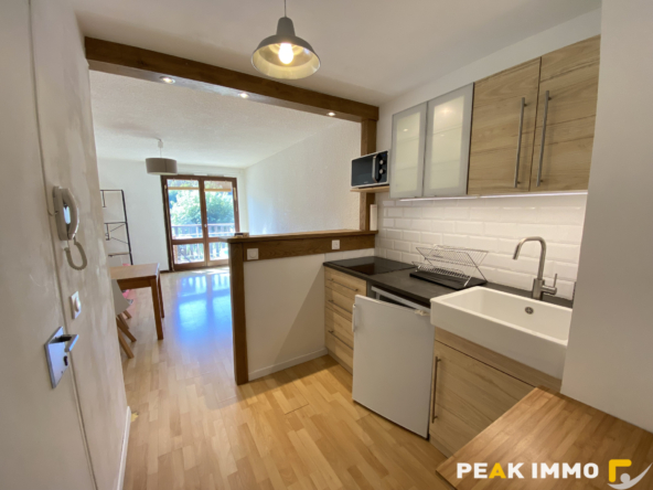 STUDIO MEUBLE 27.87 M2 SALLANCHES