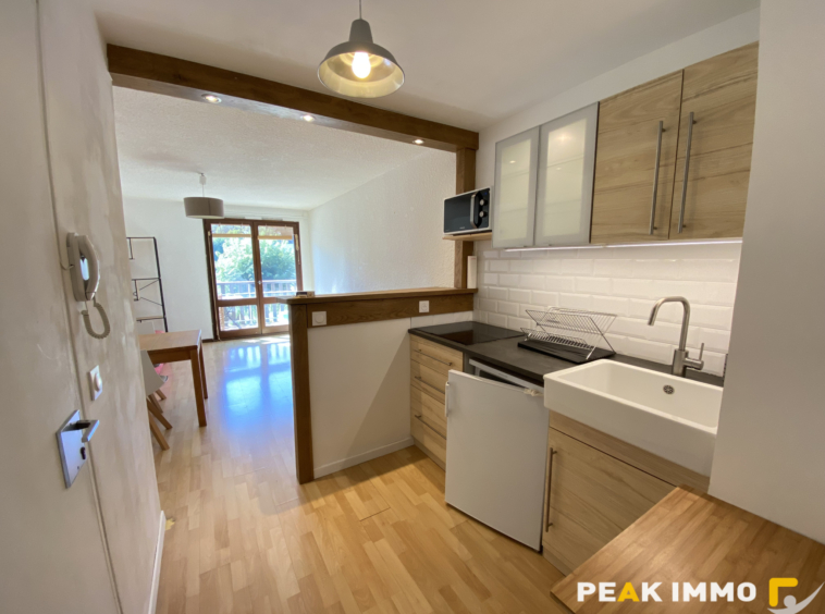 STUDIO MEUBLE 27.87 M2 SALLANCHES