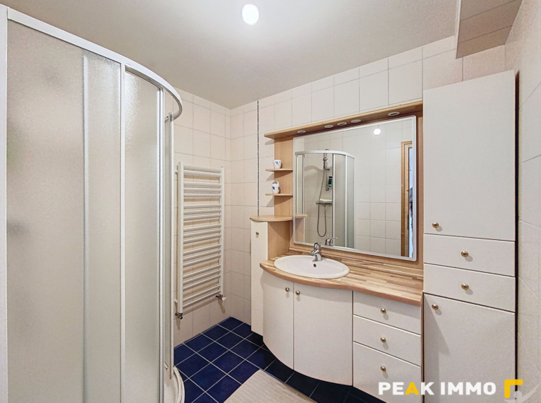 COTEAU DE SAINT ROCH CHALET 215 m2 FACE MONT BLANC