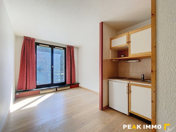 Studio 17,48 m2 - CHAMONIX-MONT-BLANC