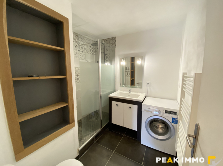 STUDIO MEUBLE 27.87 M2 SALLANCHES