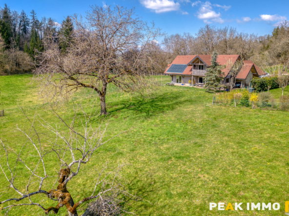 Maison 5 pièces - 161 m2 - Viuz-la-Chiésaz