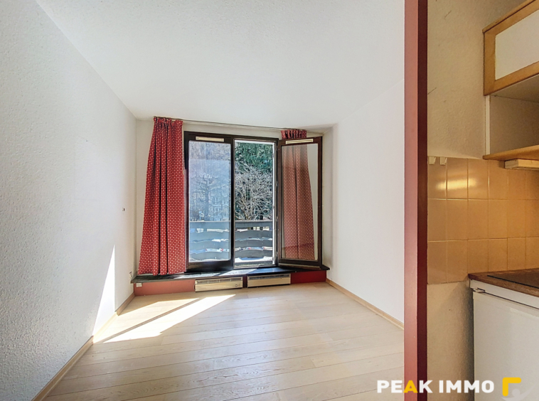 Studio 17,48 m2 - CHAMONIX-MONT-BLANC