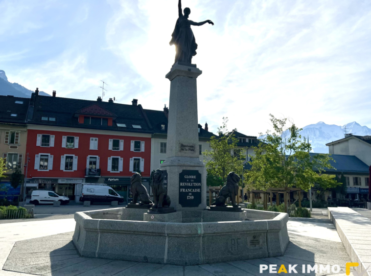 Appartement F3 / Local professionnel 60.40 m2 - Sallanches C