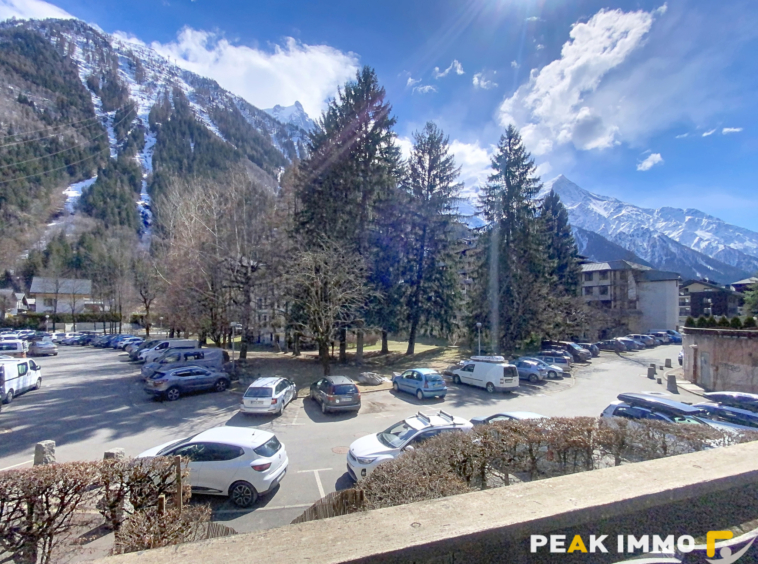 Studio 17,48 m2 - CHAMONIX-MONT-BLANC