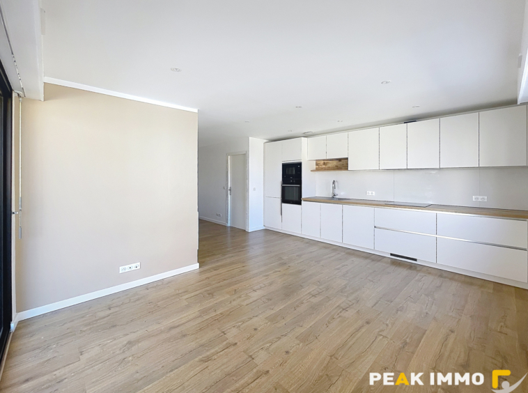 T4 au coeur d'Annemasse avec terrasse, parking et cave