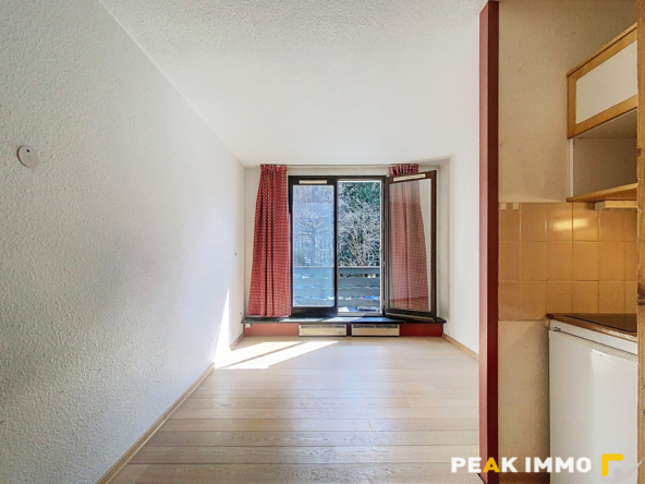 Studio 17,48 m2 - CHAMONIX-MONT-BLANC