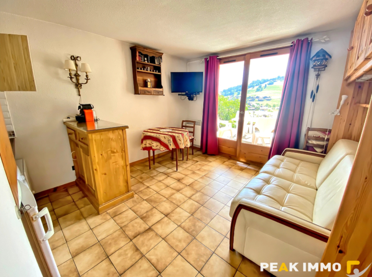 Appartement - 21.35 m2 - Combloux le Feug
