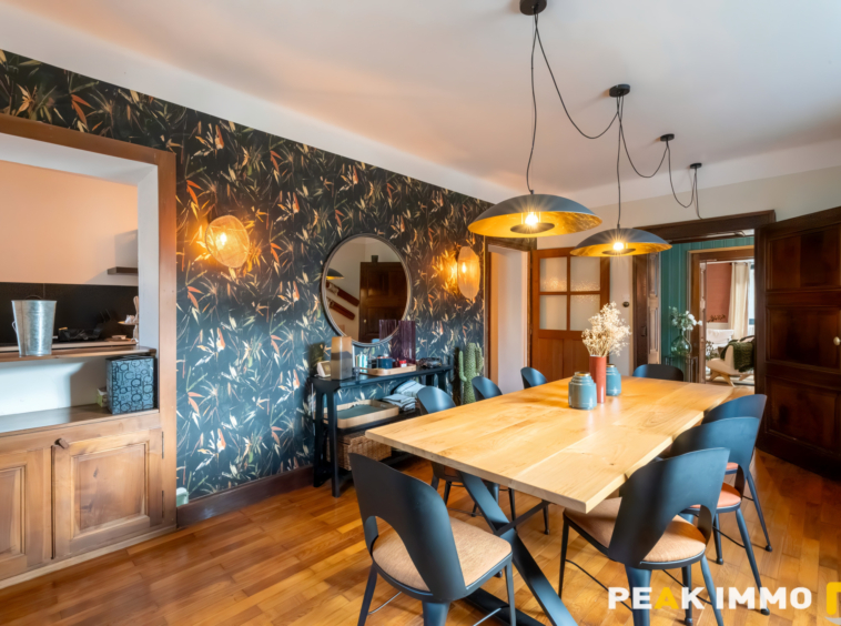 Maison de caractère 185 m2 - Doussard (secteur Verthier)