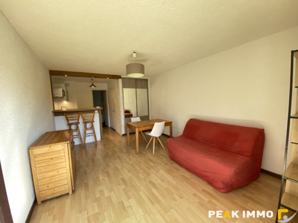 STUDIO MEUBLE 27.87 M2 SALLANCHES