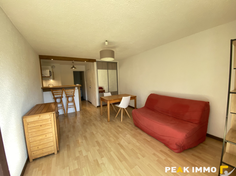 STUDIO MEUBLE 27.87 M2 SALLANCHES