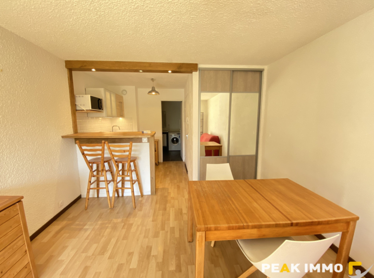 STUDIO MEUBLE 27.87 M2 SALLANCHES