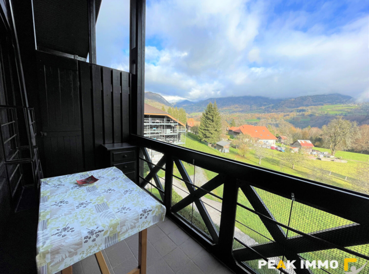 Appartement Onnion 1 pièce(s) 18.56 m2