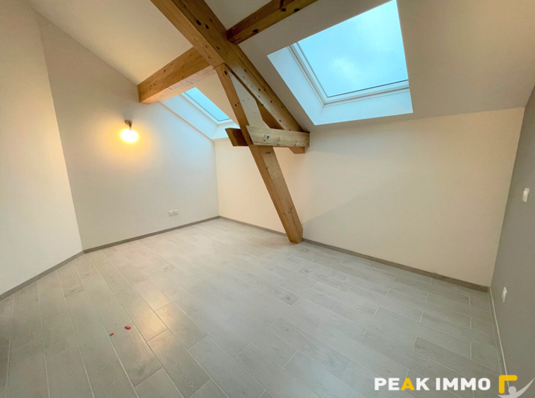 Superbe appartement / maison T4 meublé avec terrasse   Nangy