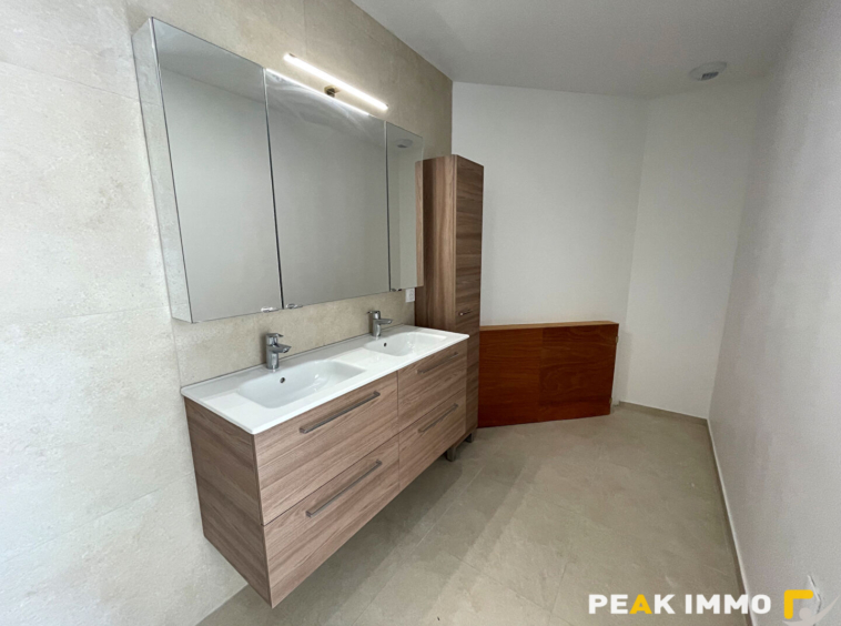 Superbe appartement / maison T4 meublé avec terrasse   Nangy