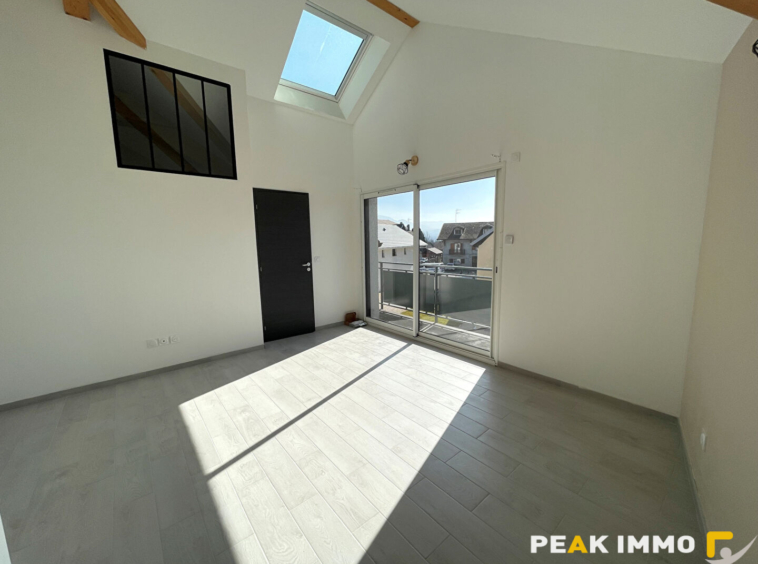 Superbe appartement / maison T4 meublé avec terrasse   Nangy