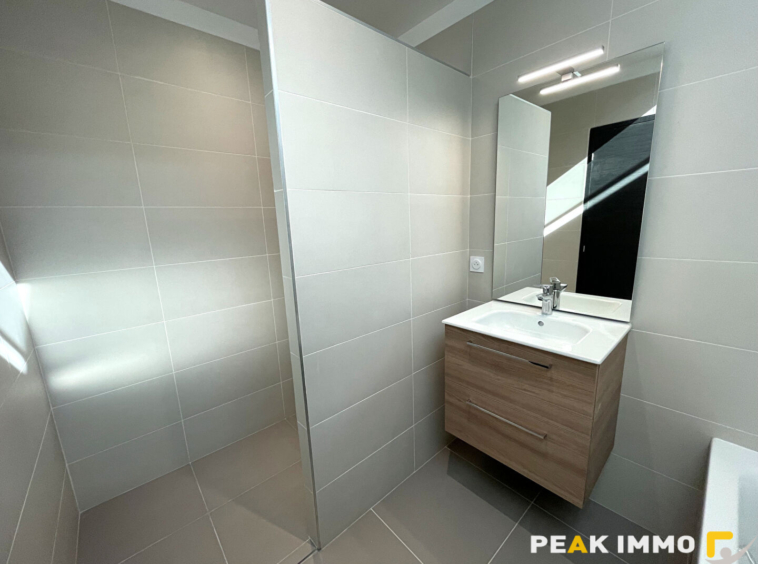 Superbe appartement / maison T4 meublé avec terrasse   Nangy