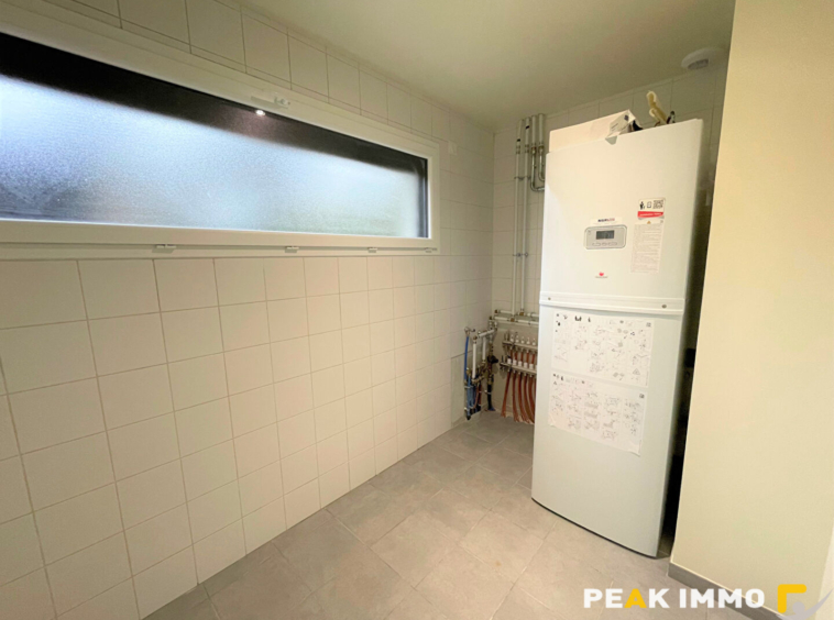 Superbe appartement / maison T4 meublé avec terrasse   Nangy