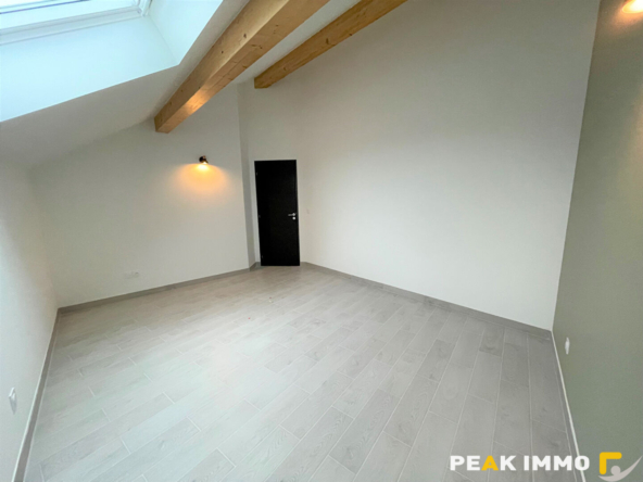 Superbe appartement / maison T4 meublé avec terrasse   Nangy