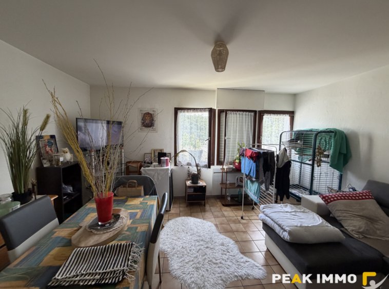 PAYS DU MONT BLANC IMMEUBLE LOCATIF