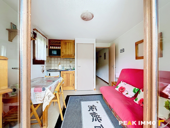 Studio cabine - 23.56 m2 - Demi Quartier - La Plate