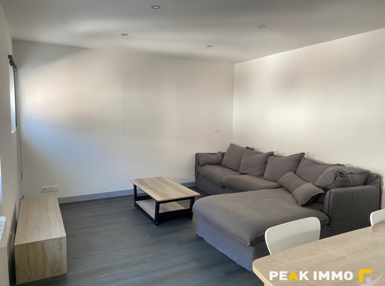 Appartement 3 pièces Meublé 71.56m2 SALLANCHES