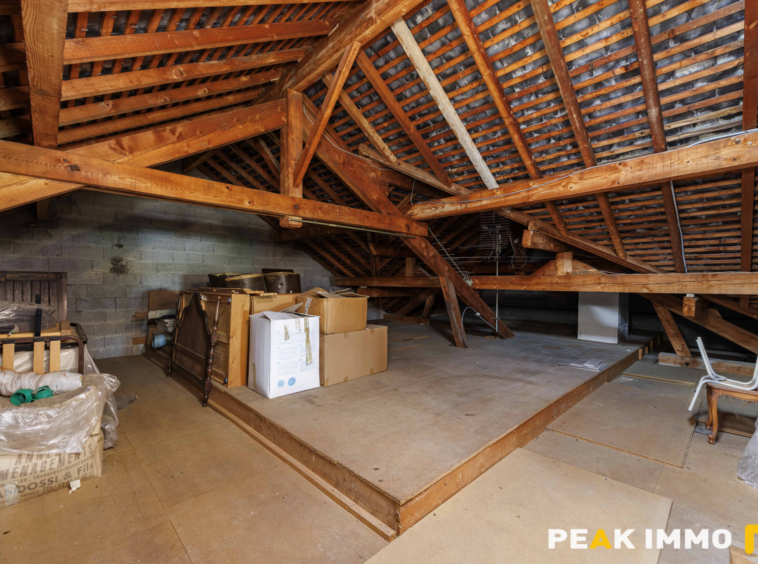 Maison - 150m2 - Terrain - 3223m2 - LA BALME DE SILLINGY