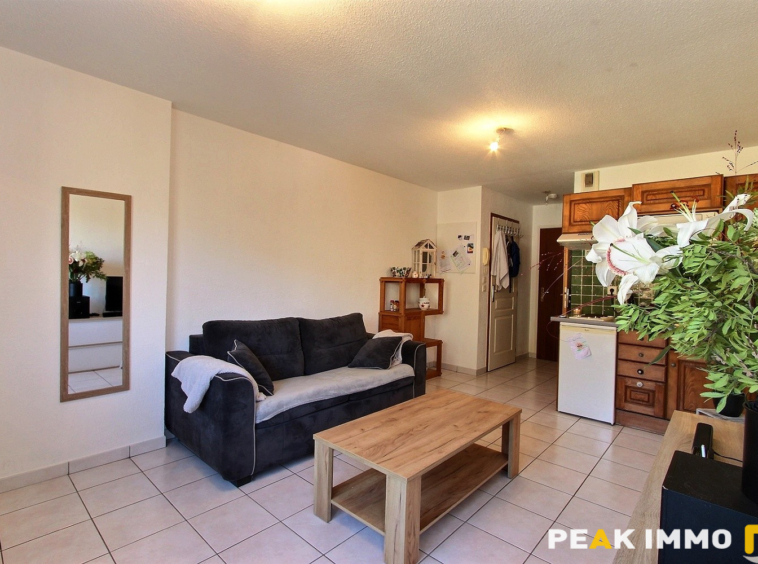 Appartement - 1 pièce - 21.69 m2  - Thones
