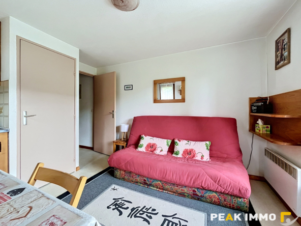 Studio cabine - 23.56 m2 - Demi Quartier - La Plate