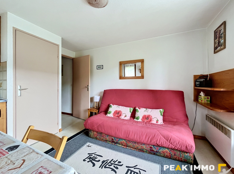 Studio cabine - 23.56 m2 - Demi Quartier - La Plate