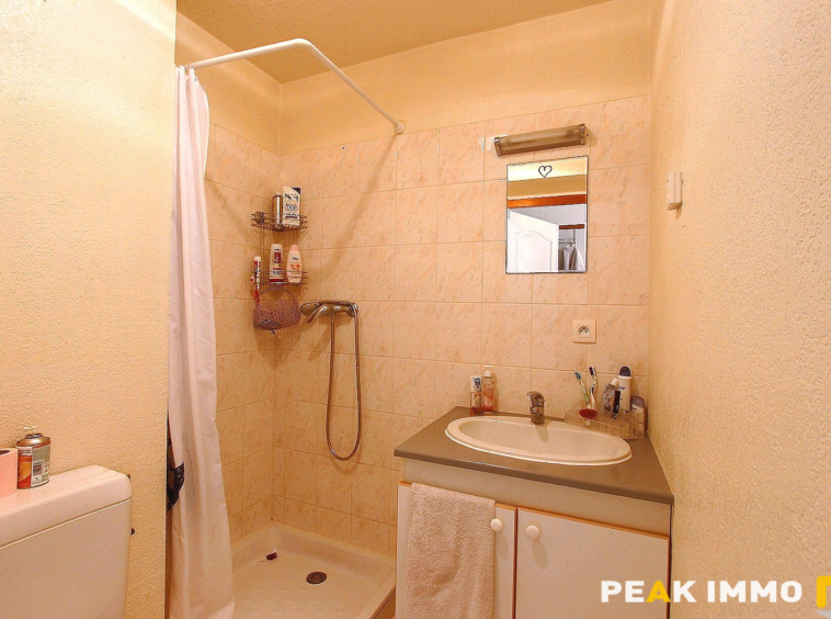 Appartement - 1 pièce - 21.69 m2  - Thones